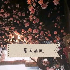 夜先锋影音资源
